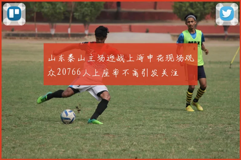 山东泰山主场迎战上海申花现场观众20766人上座率不高引发关注