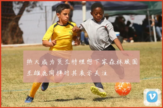 热火成为莫兰特理想下家森林狼国王雄鹿同样对其表示关注