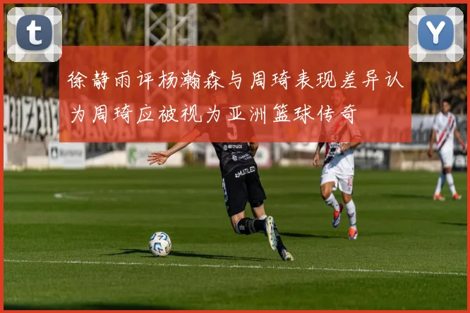 徐静雨评杨瀚森与周琦表现差异认为周琦应被视为亚洲篮球传奇