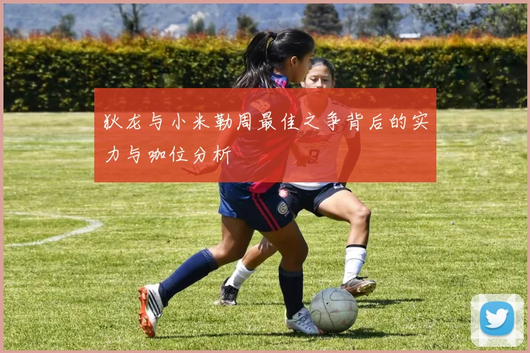 狄龙与小米勒周最佳之争背后的实力与咖位分析